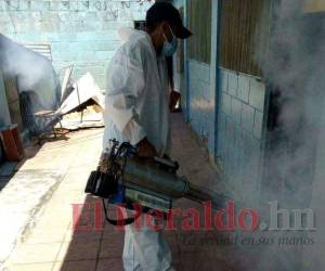 Durante la intervención fumigan, limpian y entregan BTI.