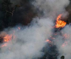 El bosque del Amazonas, abarca gran parte del noroeste de Brasil y se extiende hasta Colombia, Perú y otros países de Sudamérica, también es considerado el pulmón principal del mundo, sin embargo, la excesiva Deforestación y las quemas sin mesura están acabando con este patrimonio de la humanidad.