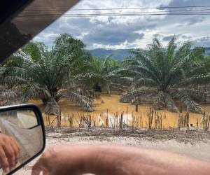 La tormenta tropical Sara ha dejado un impacto devastador en la comunidad de Prieta, en el municipio de Tocoa, Colón, donde el 100% de la población ha resultado afectada.