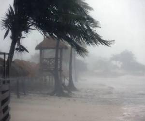 Los estados de Florida, Georgia, Carolina del Norte, Carolina del Sur, Virginia y Alabama se encuentran todavía bajo avisos de emergencia a la espera de que la tormenta tropical disminuya su intensidad.