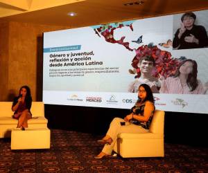 En la conferencia se contó con representantes de México, Colombia, Guatemala y Honduras.