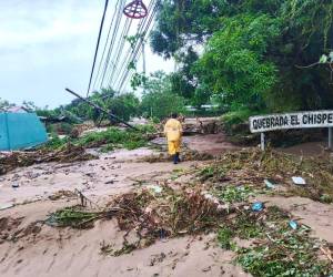 Desde que ingresó al país, la tormenta Sara ha doblegado a centenares de hondureños, dejando comunidades incomunicadas, ciudadanos damnificados y diversos daños. Más detalles a continuación.