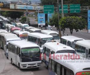 Los transportistas insisten que la tarifa actual se ha mantenido en los últimos diez años, por lo que ya es momento de actualizar los cobros.