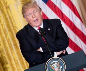 Donald Trump durante una de sus conferencias oficiales como presidente de los Estados Unidos. (AFP)