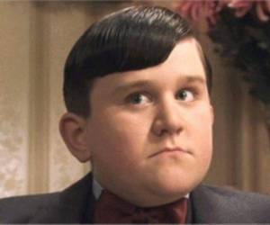 Harry Edward Melling es un actor británico, conocido por interpretar a Dudley Dursley en las películas de Harry Potter.