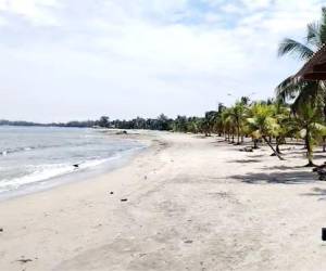 La playa municipal de Tela en la zona atlántica del país es uno de los sitios turísticos más frecuentados, pero tras el ataque de un tiburón, los visitantes evitan entrar al mar. Más detalles a continuación.