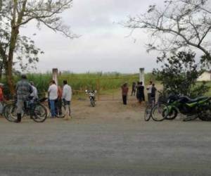 En medio de unas cañeras en Choloma fue encontrado el hombre asesinado.