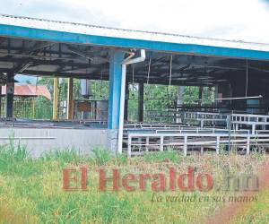 El cierre de fincas podría llevar a conflictos grandes por la invasión de tierras de parte de grupos que buscan aprovecharse.