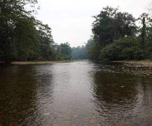 Desde el pasado viernes, la Comisión de Alto Nivel entablaría diálogos con las comunidades del río Patuca, río Coco/Segovia, la cordillera Entre Ríos, la reserva Tawahka Asangni y de la biósfera del río Plátano