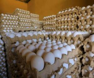 Ocho semanas consecutivas en rebajas acumulan los huevos en los mercados de la capital. Su precio actual es de 77 lempiras el cartón de huevo grande de 30 unidades y 68 el pequeño.