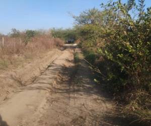 El cadáver fue hallado a la orilla de la polvorienta calle.