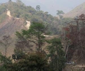 La desmedida deforestación de la Biósfera del Río Plátano ha provocado que el cauce de los ríos haya disminuido ostensiblemente.