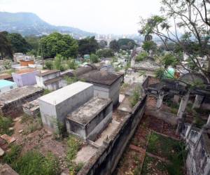 El 14 y 20 de octubre a las 9:00 AM será la salida desde el CAC-UNAH.