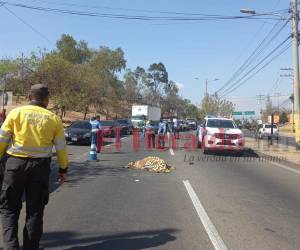 Agentes de la Policía Nacional llegaron hasta la zona para realizar el respectivo informe de tránsito y esperar la llegada del personal de Medicina Forense.