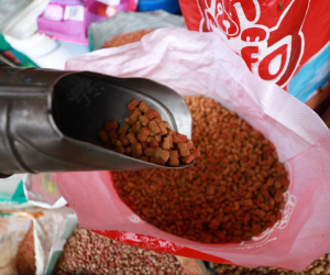 El saco de comida para mascotas está por alcanzar los mil lempiras en los distintos comercios.