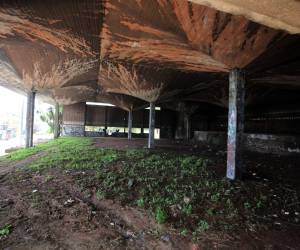 Aunque las paredes del edificio están destruidas y rayadas por indigentes que viven en el lugar, el techo se mantiene erguido a pesar del tiempo.