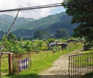 Hasta por la mitad de lo que cuestan rematan fincas en Honduras por invasiones