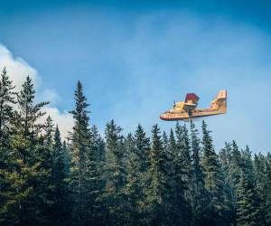 Un avión bombardero se estrelló mientras combatía incendio forestal en la isla griega de Eubea.