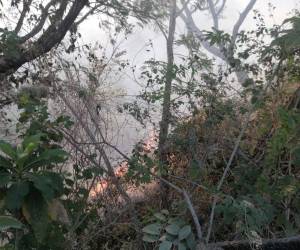 Bomberos y grupos ambientalistas combaten incendio en La Tigra, mientras autoridades advierten que es la segunda vez que ocurre en la misma zona.