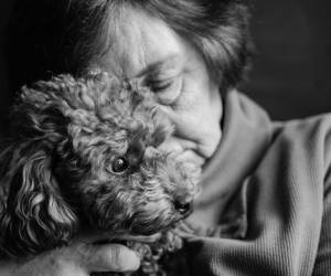 La presencia de un perro disminuye el cortisol, ayudando a calmar la mente y reducir la ansiedad.