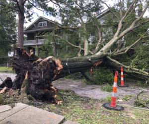 Ramas, vidrios rotos y otros escombros cubrían el centro de Nueva Orleans, mientras en el turístico Barrio Francés, varios árboles habían sido arrancados de raíz. Foto: AP