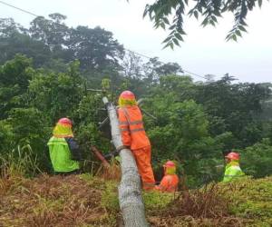 Un total de 191 circuitos de distribución integran el sistema de energía eléctrica en Honduras, por lo que solo se han visto afectados el 14.7%.