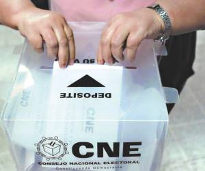 Hasta el momento, el CNE ha adjudicado el TREP, quedando pendiente el sistema de biometría.