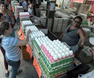 Las ferias del agricultor están instaladas desde las 5:00 de la mañana de los viernes hasta las 5:00 de la tarde de los sábados.