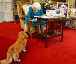 En esta imagen de archivo publicada en Londres el 4 de febrero de 2022 y tomada el mes pasado, se muestra a la reina Isabel II de Gran Bretaña acariciando a Candy, su perro corgi.