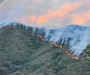 Incendios en Huila, Colombia: más de 5.000 hectáreas quemadas y respuesta de emergencia con aviones y expertos.