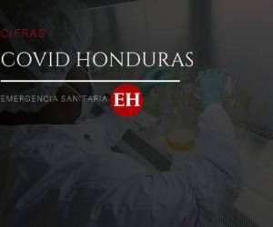 Las brigadas de la Secretaría de Salud continúan realizando pruebas y monitoreos en los hogares de los hondureños.