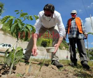 El Dr. Thomas Cieslik realizó una visita a la zona de reforestación. Foto: David Romero/EL HERALDO.