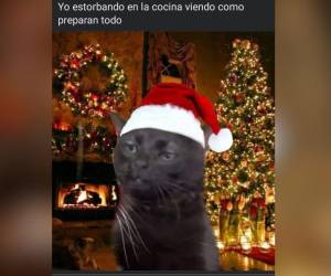 Si estabas buscando memes para desear Feliz Navidad a tus amigos y familiares, aquí te dejamos una recopilación de los más divertidos que circulan en Internet.