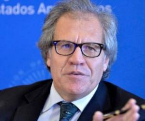 Luis Almagro, secretario general de la Organización de Estados Americanos (OEA).