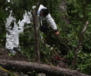 La tranquilidad de la aldea Corralitos, en el Hatillo, Distrito Central, se vio interrumpida tras el descubrimiento de un cuerpo desmembrado y en avanzado estado de descomposición.