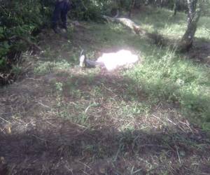 El cuerpo del joven quedó sobre la maleza, muy cerca del río al que fue lanzada su madre.