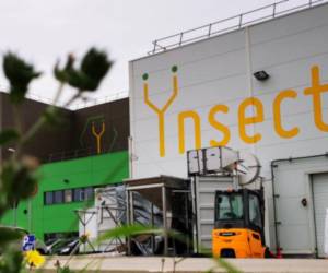 Insect es una empresa francesa dedicada a crear proteínas a partir de insectos.