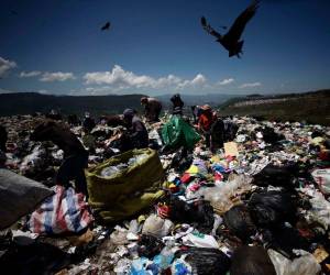 Los materiales inertes pueden dañar las máquinas trituradoras.