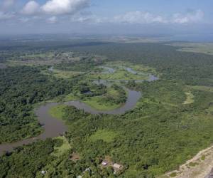 Militares que resguardaban la zona núcleo del Río Plátano fueron afectados por un brote de rotavirus.