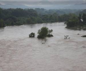 EL HERALDO recorrió algunas zonas del departamento de Valle, uno de los departamentos afectados por el paso de la tormenta tropical Pilar, donde se constató de zonas incomunicadas, ríos crecidos y la amenaza latente de inundaciones que mantiene en vilo a los pobladores que residen cerca del Río Nacaome, Goascorán y la playa de El Cubulero. A continuación las imágenes.