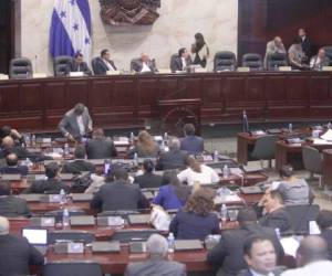 El Congreso Nacional retomará la discusión y aprobación de la nueva Ley Orgánica de la Policía Nacional.