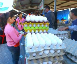 Los productores de huevo garantizaron la estabilidad en el precio de este producto de primera necesidad en la dieta de los hondureños hasta noviembre, foto: Archivo/El Heraldo.