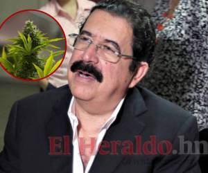 El asesor presidencial aseguró que Honduras no será un país exportador de marihuana.