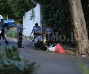 El hallazgo se reportó alrededor de las 4:00 de la tarde, cuando se dio cuenta de un cadáver en unos sacos rojo y blanco al pie de un árbol cerca de las oficinas de la Secretaría de Desarrollo Económico (SDE)