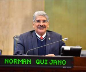 Es importante resaltar que Norman Quijano fue electo como diputado al Parlamento Centroamericano (PARLACEN) por la derechista Alianza Republicana Nacionalista (ARENA), sin embargo este aún no ha tomado posesión del cargo, por lo que no cuenta con la llamada inmunidad parlamentaria. Foto: Twitter