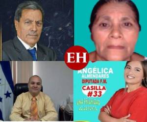 El Partido Frente Amplio, que se ubica en la posición dos de la papeleta electoral, cumplió con los requisitos en el departamento de Francisco Morazán y muestra a sus aspirantes, completamente desconocidos, para que busquen un curul dentro del Congreso Nacional.