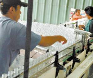 Un flujo de 74.6 millones de dólares de inversión extranjera recibió la industria manufacturera como el rubro de bebidas al primer trimestre de 2024, de acuerdo con un informe del Banco Central de Honduras.
