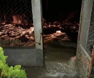 La actividad eléctrica y precipitaciones seguirán durante la noche en el Distrito Central.