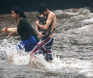 El presidente estadounidense llamó el viernes por teléfono al gobernador de Hawái, David Ige, para 'ofrecer su apoyo' a los habitantes del archipiélago, indicó un comunicado de la Casa Blanca. (Foto: AFP)