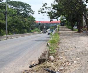 La maleza se está apoderando del puente de retorno del Cliper entre las colonias San Ángel y Hato de Enmedio.